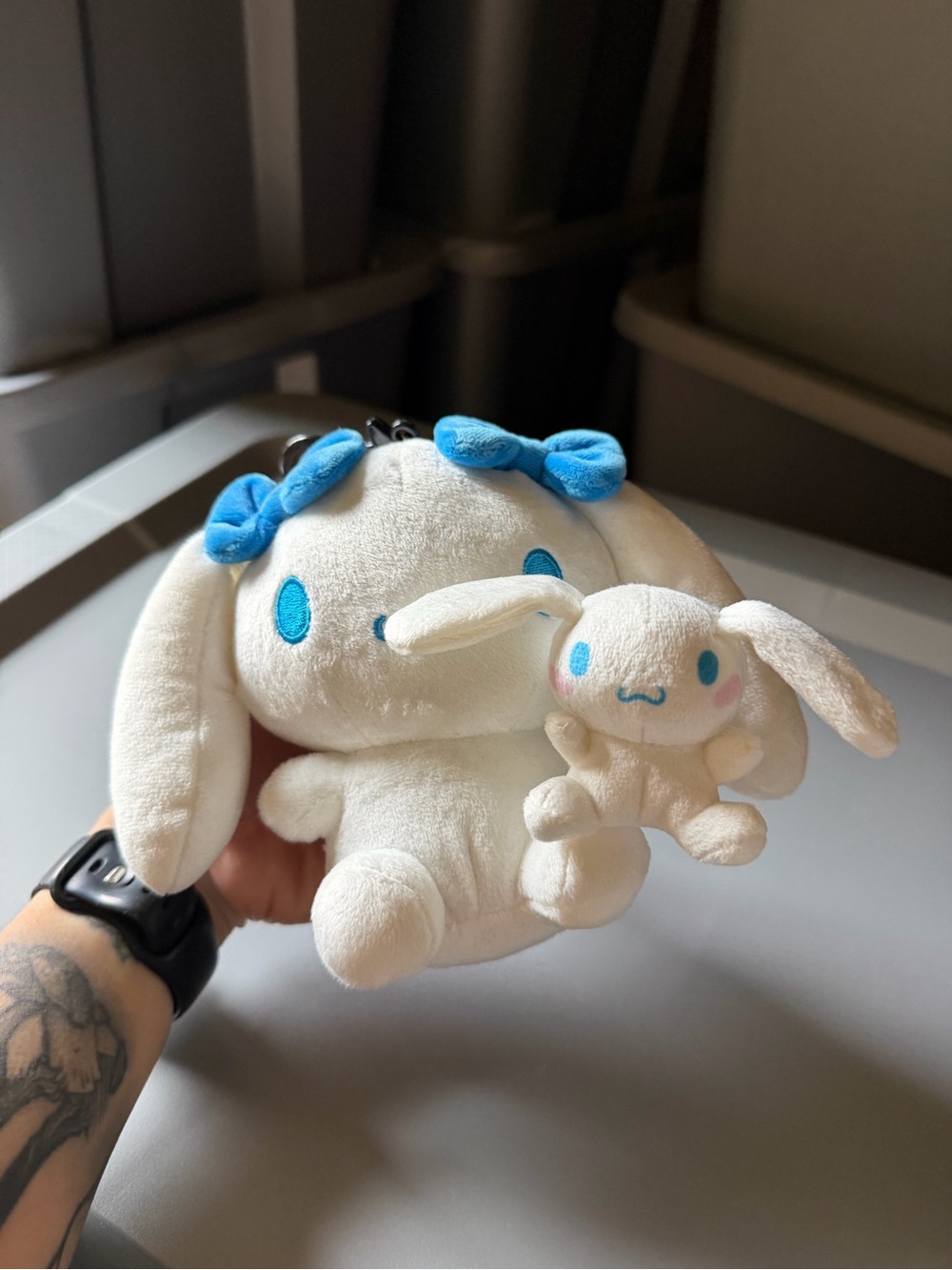 2 Cinnamaroll plushes